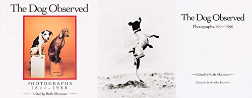 Dog Observed - Repeats4U