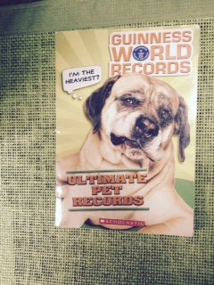 Guinness World Records - Repeats4U