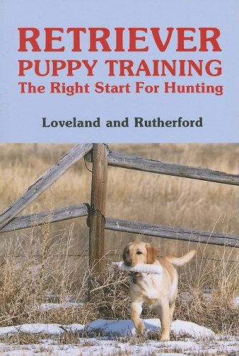 Retriever Puppy Training: The Right Start for Hunting - Repeats4U