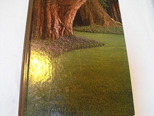 Lawns and Ground Covers - Repeats4U