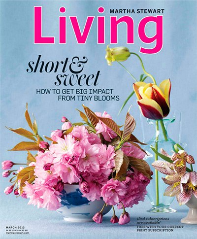 Martha Stewart Living, March 2013 (Short and Sweet: How to Get Big Impact From Tiny Blooms), Number 232 - Repeats4U