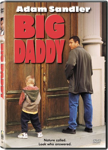 Big Daddy (DVD, 1999)