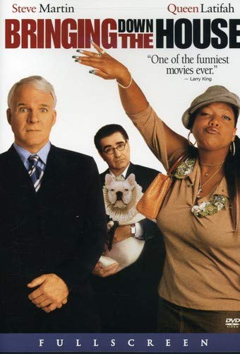 Bringing Down the House (DVD, 2003, Full Frame)